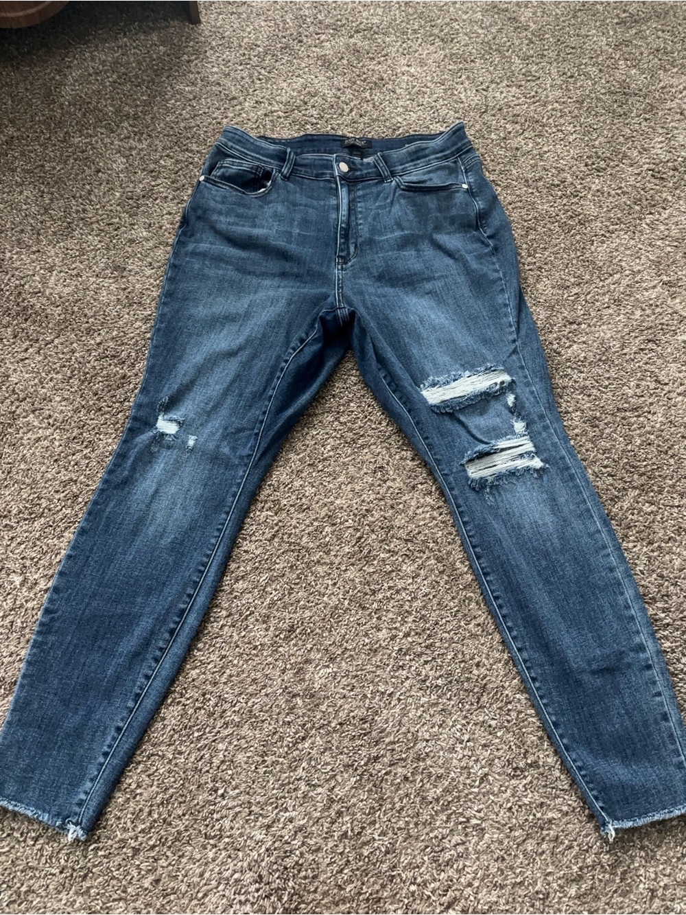 Judy Blue Dark Wash Ripped Skinny Jeans